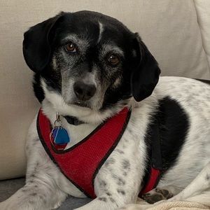 Meet your Posher, William